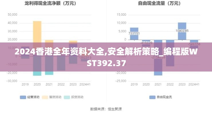 2024香港全年资料大全,安全解析策略_编程版WST392.37