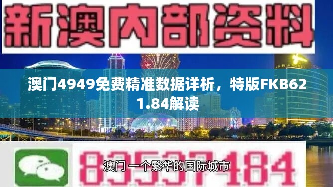 澳门4949免费精准数据详析，特版FKB621.84解读