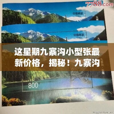 揭秘九寨沟小型张最新价格背后的科技奇迹，体验前沿功能，领略科技魅力