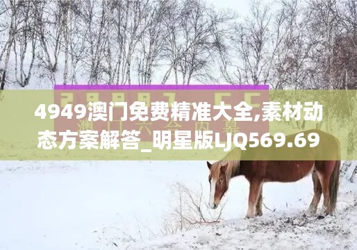 4949澳门免费精准大全,素材动态方案解答_明星版LJQ569.69