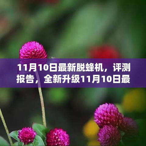 最新脱蜂机评测报告，深度解析全新升级脱蜂机性能与特点