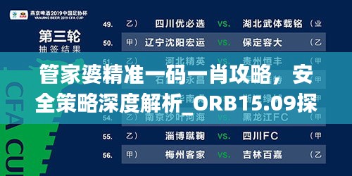 管家婆精准一码一肖攻略，安全策略深度解析_ORB15.09探索版