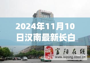 汉南地区长白班招聘趋势展望，最新招聘动态与观察思考（2024年11月10日）