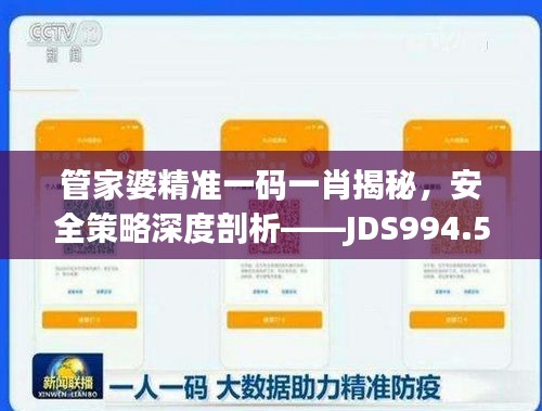 管家婆精准一码一肖揭秘，安全策略深度剖析——JDS994.53探索版