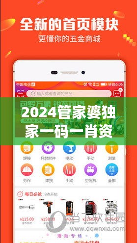 2024管家婆独家一码一肖资料解读，全方位解析版BMV408.34