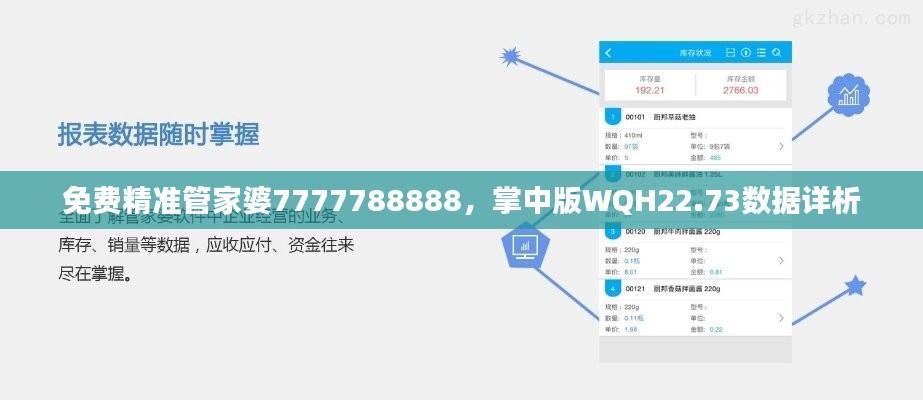 免费精准管家婆7777788888，掌中版WQH22.73数据详析