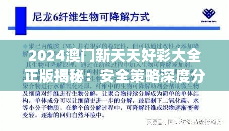 2024澳门新天天好彩大全正版揭秘：安全策略深度分析_真实版TLV991.16