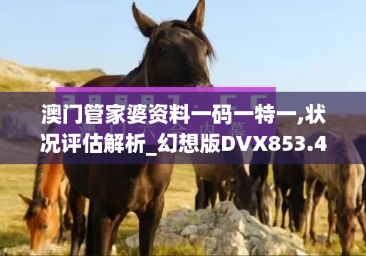 澳门管家婆资料一码一特一,状况评估解析_幻想版DVX853.4