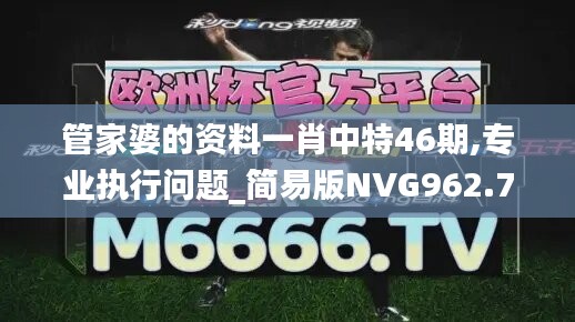 管家婆的资料一肖中特46期,专业执行问题_简易版NVG962.78