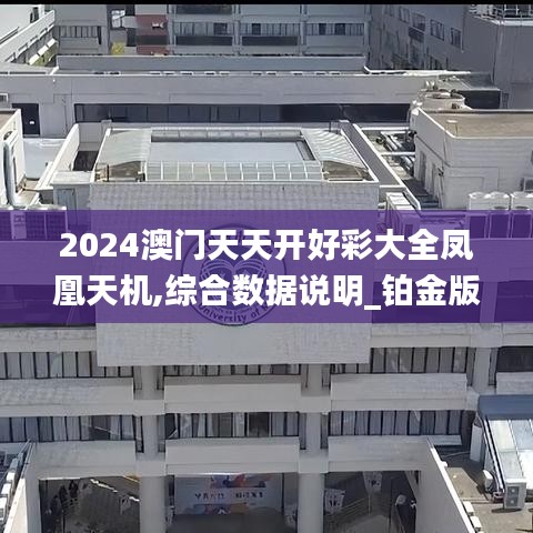 2024澳门天天开好彩大全凤凰天机,综合数据说明_铂金版GJV445.24