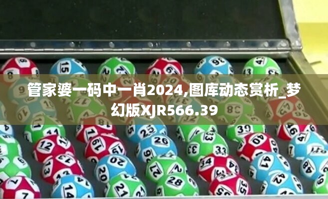 管家婆一码中一肖2024,图库动态赏析_梦幻版XJR566.39