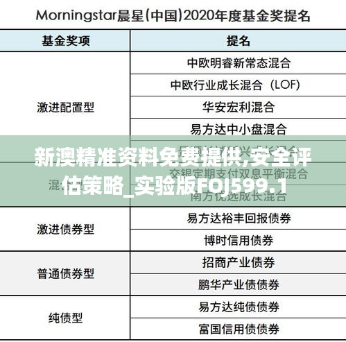 新澳精准资料免费提供,安全评估策略_实验版FOJ599.1