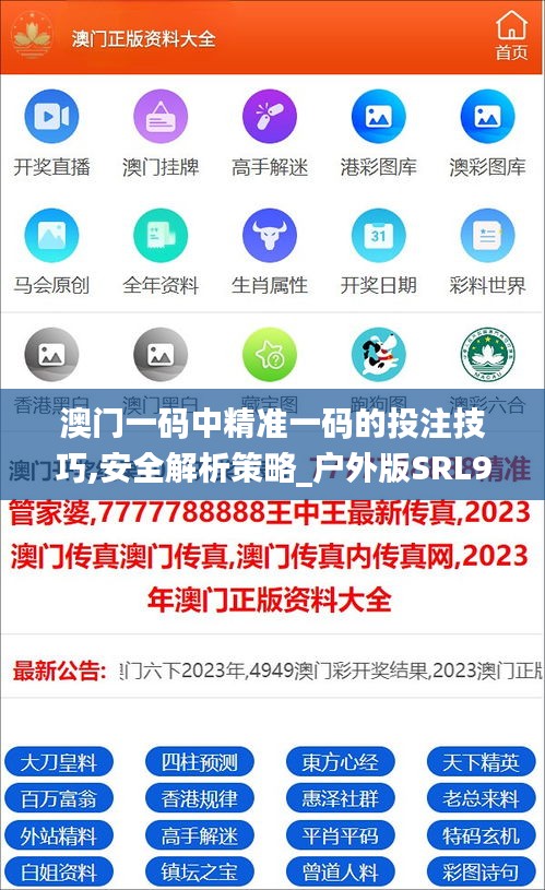 澳门一码中精准一码的投注技巧,安全解析策略_户外版SRL994.76