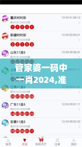 管家婆一码中一肖2024,准确资料解释_速成版QDY557.41