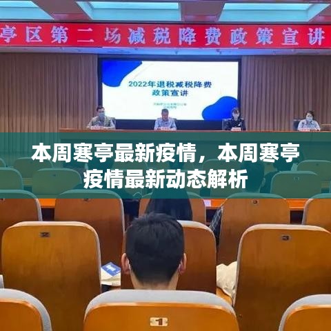 本周寒亭疫情最新动态解析与更新