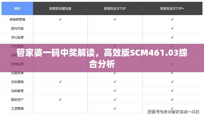 管家婆一码中奖解读，高效版SCM461.03综合分析