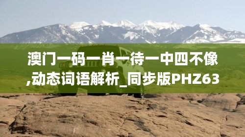 澳门一码一肖一待一中四不像,动态词语解析_同步版PHZ633.5