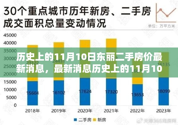 历史上的11月10日东丽二手房价走势分析与最新消息，购房指南