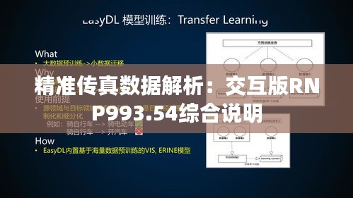 精准传真数据解析：交互版RNP993.54综合说明