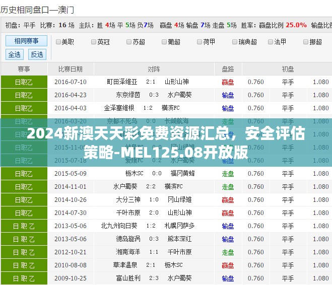 2024新澳天天彩免费资源汇总，安全评估策略-MEL125.08开放版