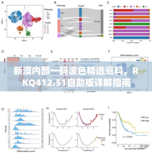 新澳内部一码波色精选资料，RKQ412.51自助版详解指南