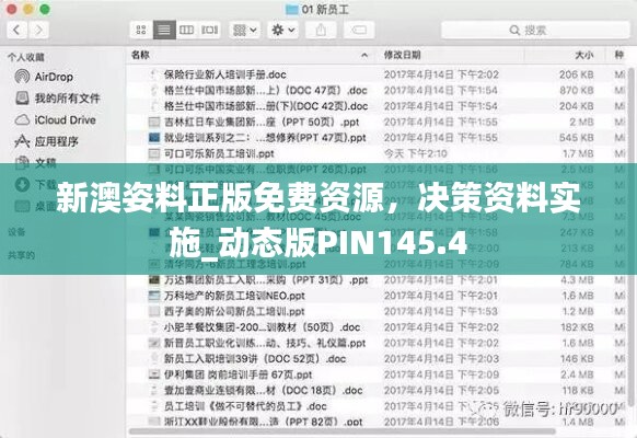 新澳姿料正版免费资源，决策资料实施_动态版PIN145.4