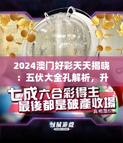 2024澳门好彩天天揭晓：五伏大全孔解析，升级版HZB637.71研究解读