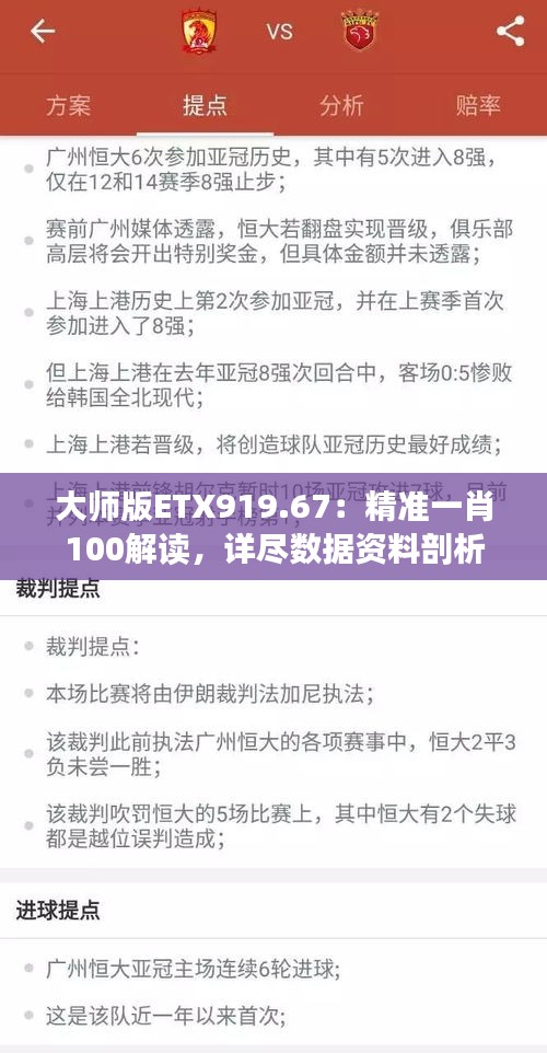 大师版ETX919.67：精准一肖100解读，详尽数据资料剖析