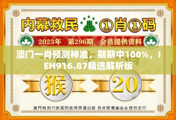 澳门一肖预测神准，期期中100%，IEH916.87精选解析版