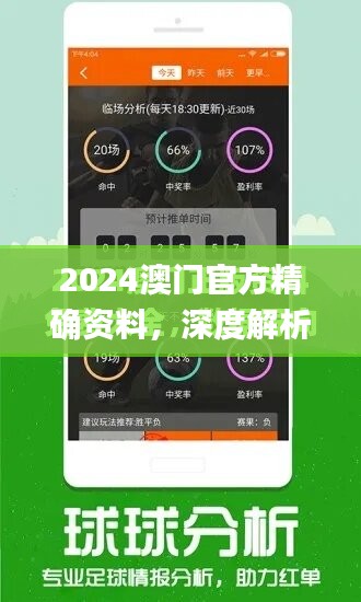 2024澳门官方精确资料，深度解析定义_简易版ZOG105.71