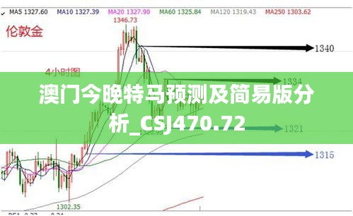 澳门今晚特马预测及简易版分析_CSJ470.72