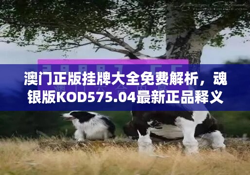 澳门正版挂牌大全免费解析，魂银版KOD575.04最新正品释义