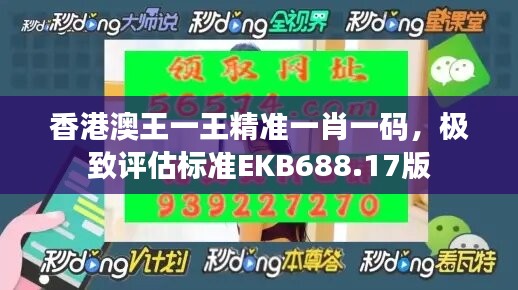 香港澳王一王精准一肖一码，极致评估标准EKB688.17版