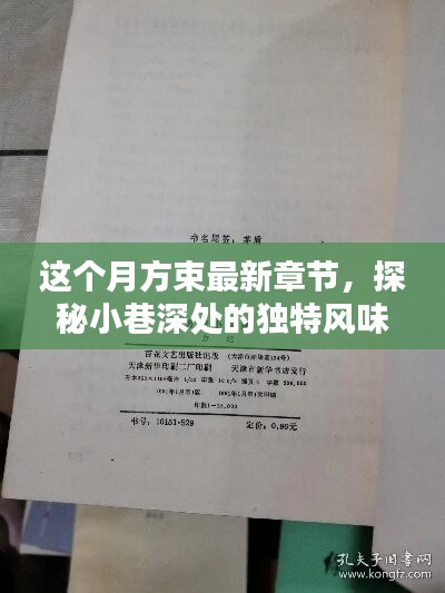 探秘小巷深处的独特风味，这个月方束最新章节背后的神秘小店揭秘