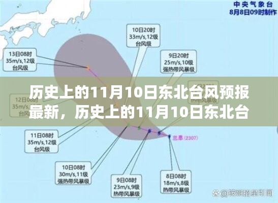 历史上的11月10日东北台风预报最新解读，特性、体验与竞品对比