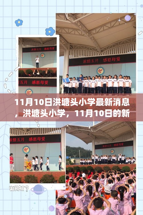 洪塘头小学最新动态，见证时代变迁，展望教育未来