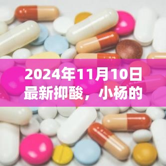 小杨的抑酸奇遇，友情、家庭与温馨的日常生活（2024年11月10日最新）