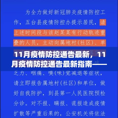 11月疫情防控通告最新指南，初学者与进阶用户必读手册