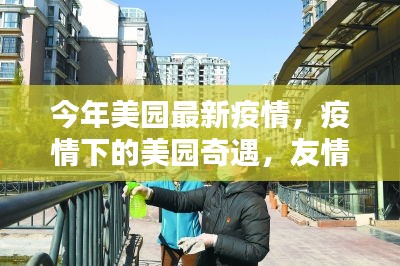 疫情下的美国奇遇，友情、日常与爱的力量