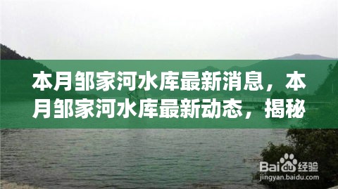 揭秘邹家河水库建设进展与未来规划，本月最新动态消息速递