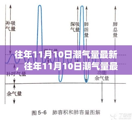 往年11月10日潮气量最新分析与观察报告