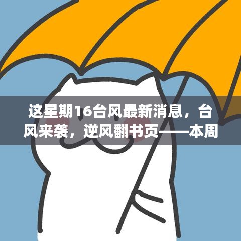 台风来袭，逆风翻书页，本周学习变化与最新台风资讯的正能量交汇