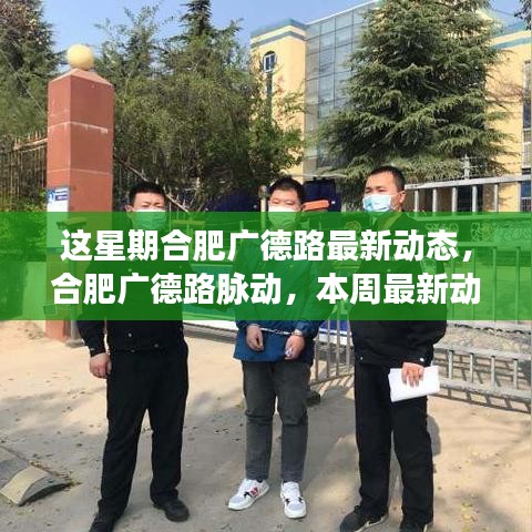 合肥广德路本周最新动态概览