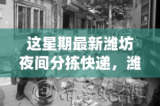 潍坊夜间智能分拣系统，科技加速快递生活，夜间速度与便捷体验新纪元