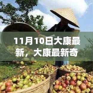 启程寻找内心的宁静，大康奇遇记之与大自然共舞的日子（11月10日最新）