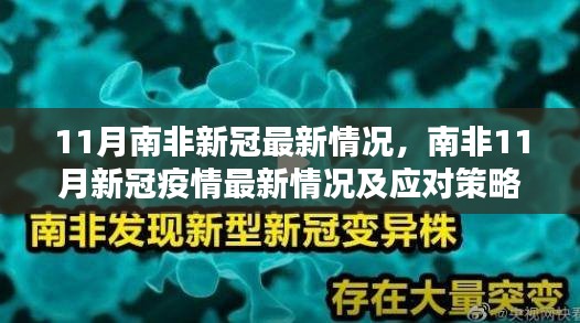 南非11月新冠疫情最新动态与应对策略步骤指南