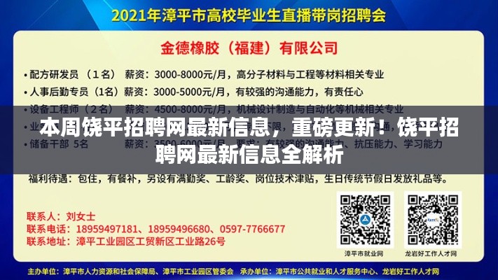 饶平招聘网最新信息解析，本周重磅更新全面浏览