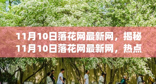 揭秘热点，11月10日落花网最新动态与深度解读