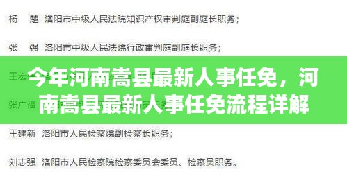 河南嵩县最新人事任免详解，流程与任务完成步骤揭秘