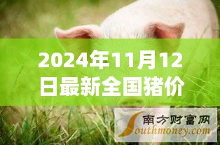 2024年11月12日全国猪价格行情深度分析与预测